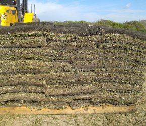 Pallet of Empire Zoysia