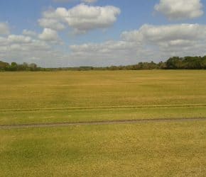 Tifway 419 Sod Field