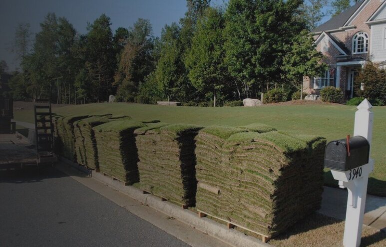 Read more about the article The Hidden Costs of Poor Sod Installation and How To Avoid Them