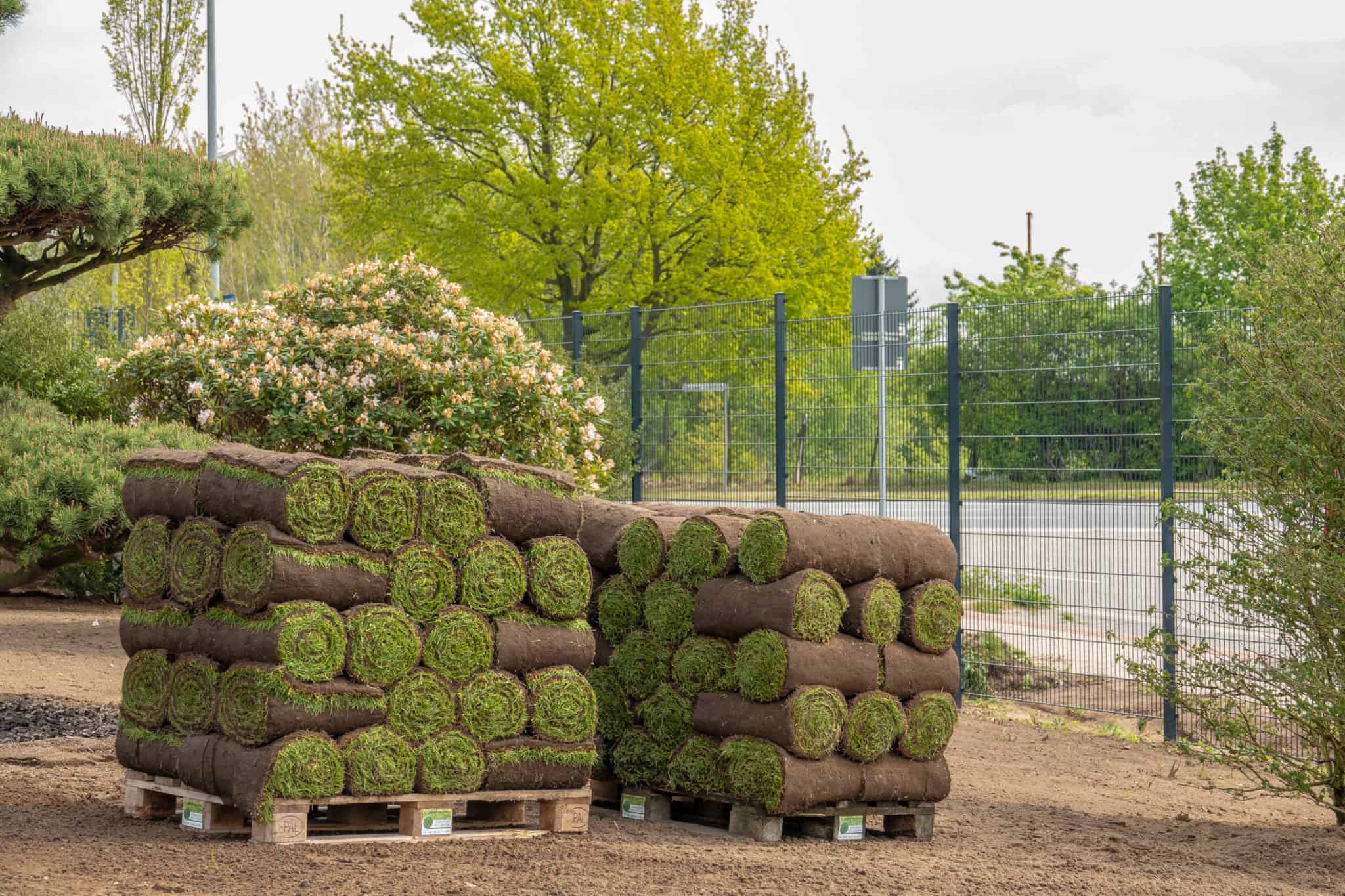 Pallet of Sod How Long Can it Sit 3 Big Tips.