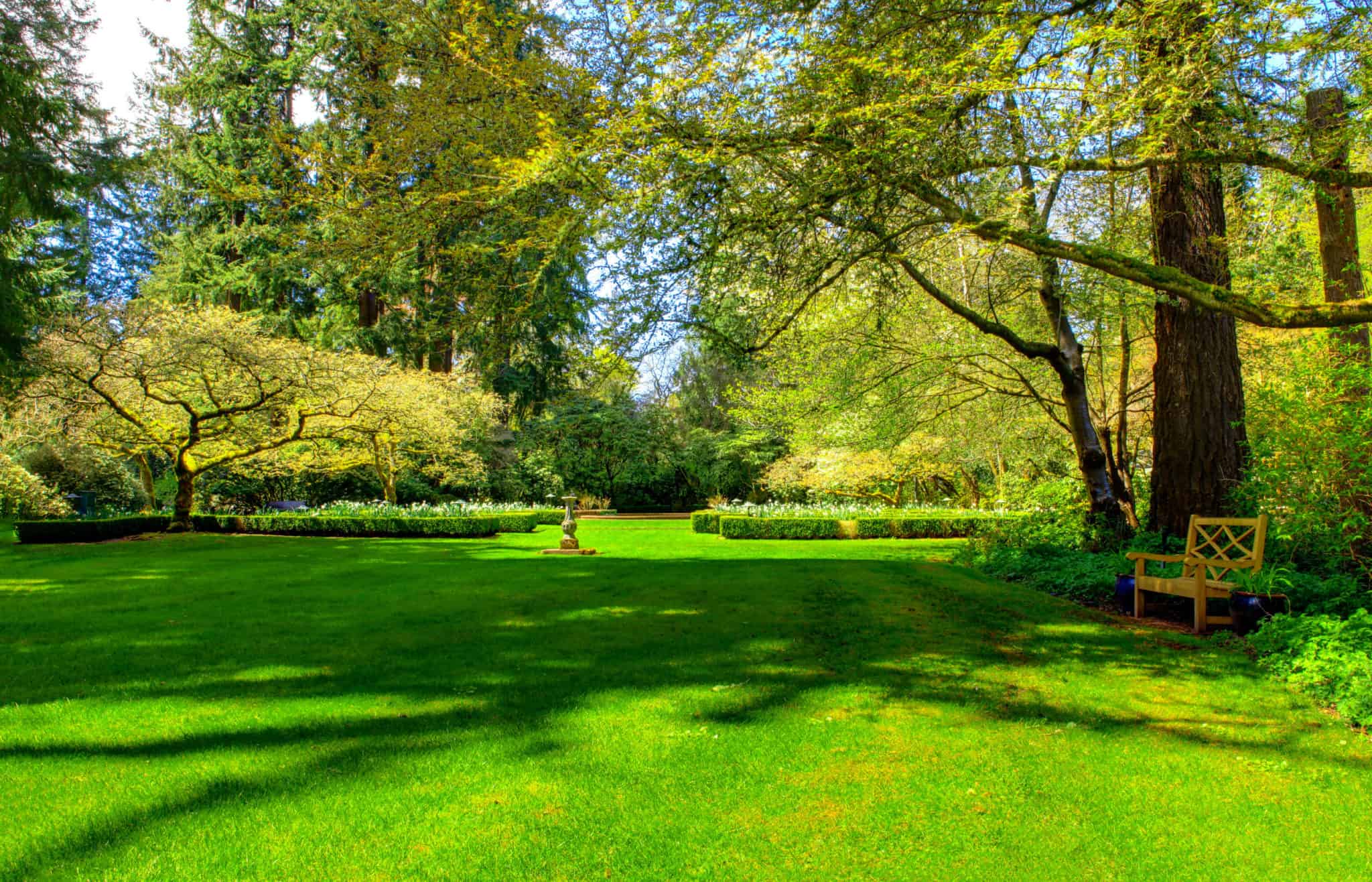 A ProVista Lawn In Shaded Areas 3 Big Advantages
