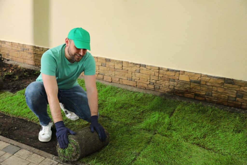 Tips on Caring for New Sod Tampa Sod Farm