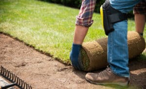 Choosing the Right Type of Sod for Your Tampa Bay Home - A Guide from Council Growers Sod