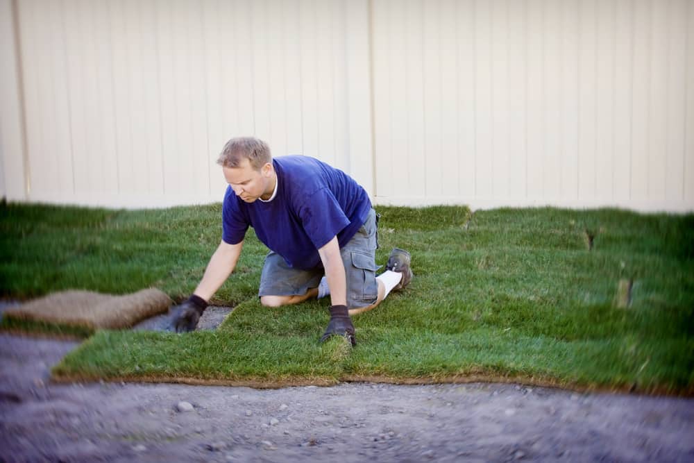 Read more about the article Top Tips For  Choosing an Affordable Residential Sod Installation Company for Your Landscaping Project