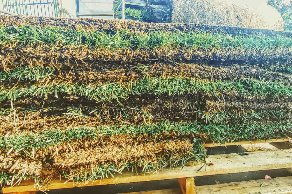 Read more about the article Sod Calculator For The Smart Homeowner: Calculate How Much Sod You Need And Order It Online