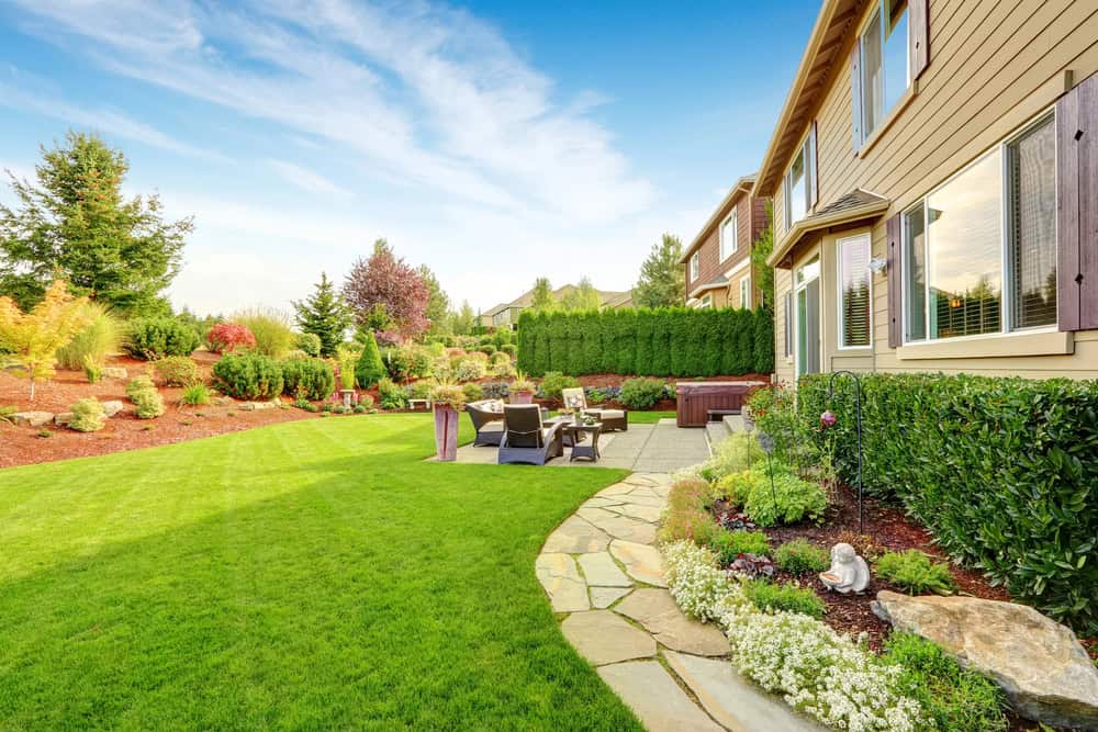 Choosing The Right Grass For Your Tampa, FL Lawn An In-Depth Guide