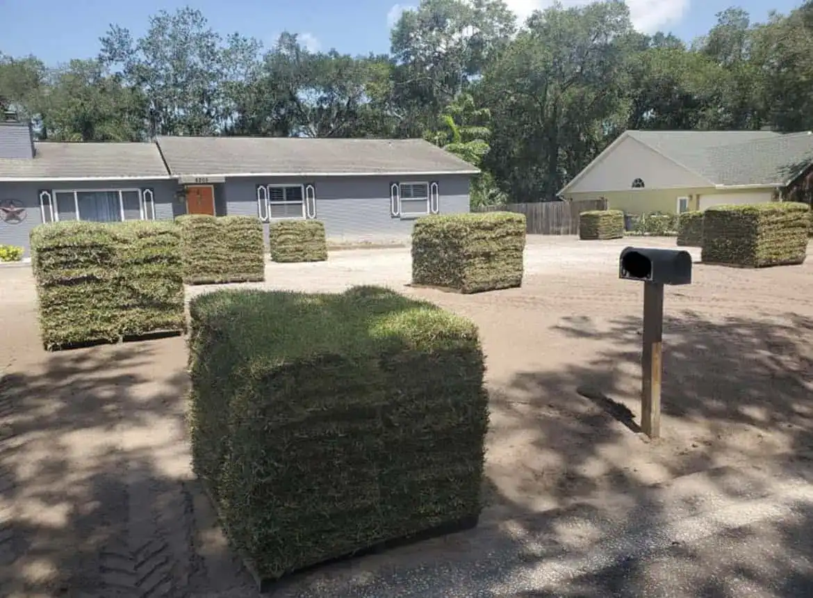 Read more about the article What Are Common Mistakes to Avoid When Laying Sod?