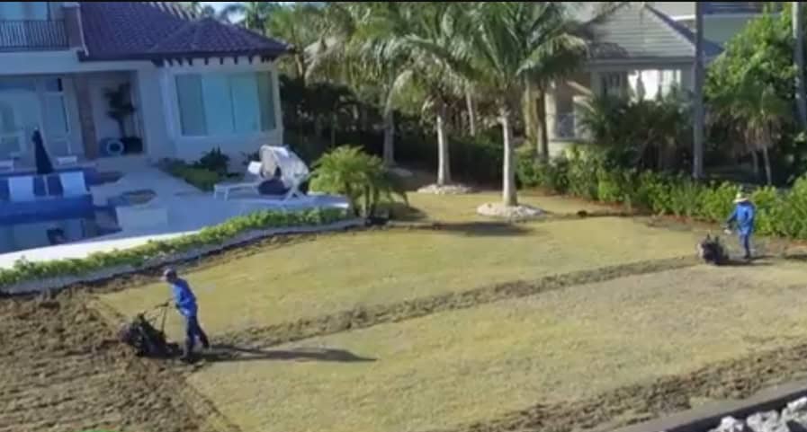 sod installation