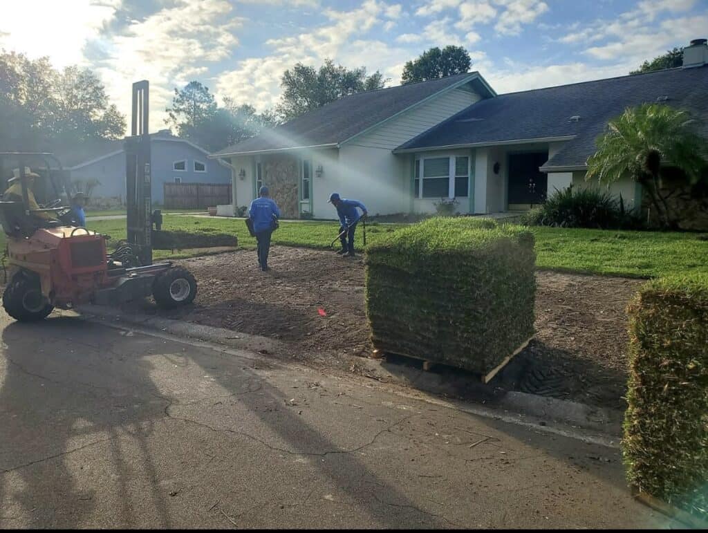 sod installation
