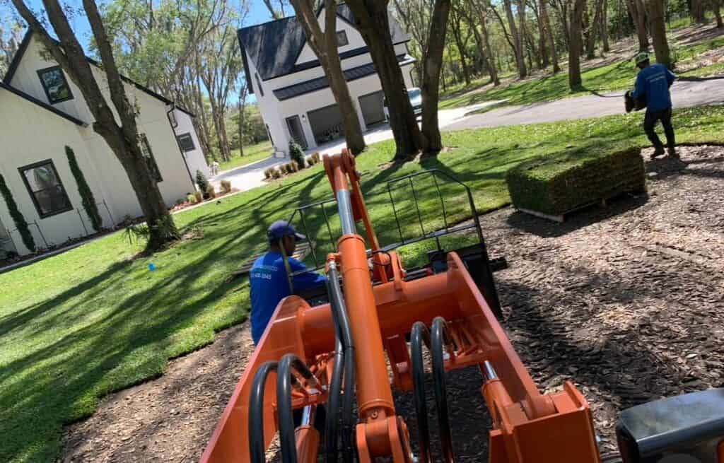 sod installation
