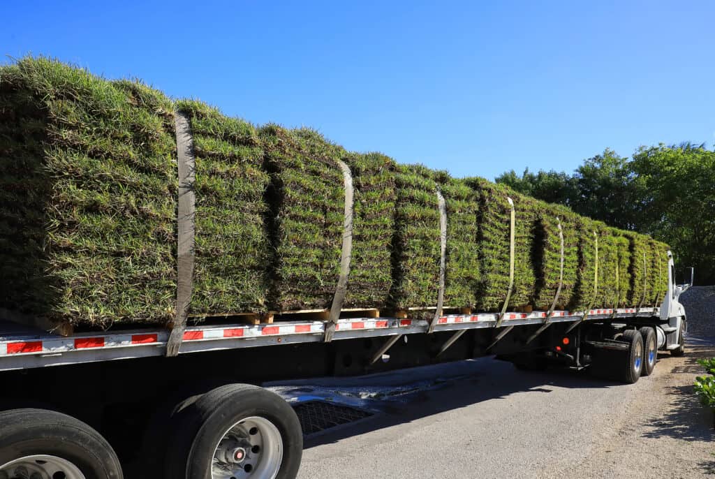 Best Time to Install Sod in Tampa