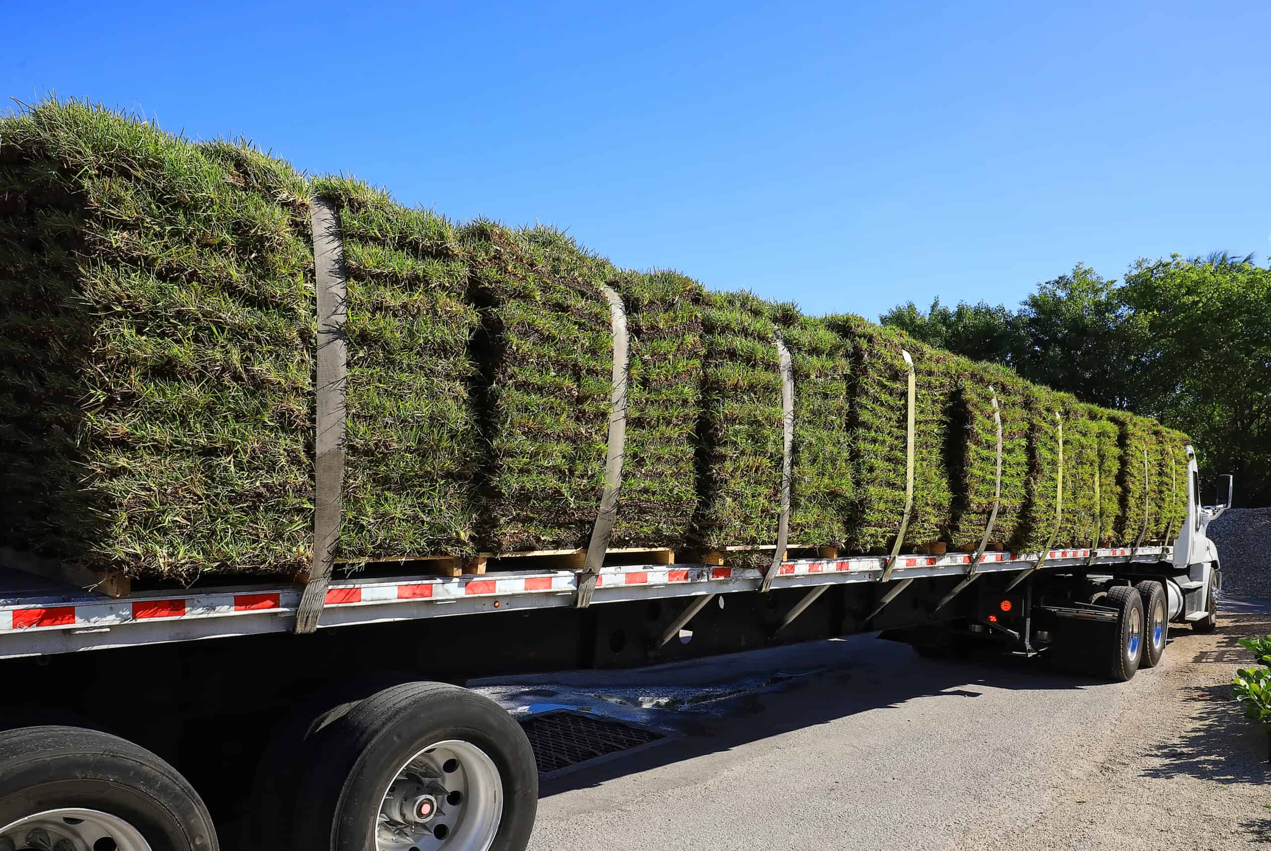 Read more about the article When is the Best Time to Install Sod in Tampa FL?