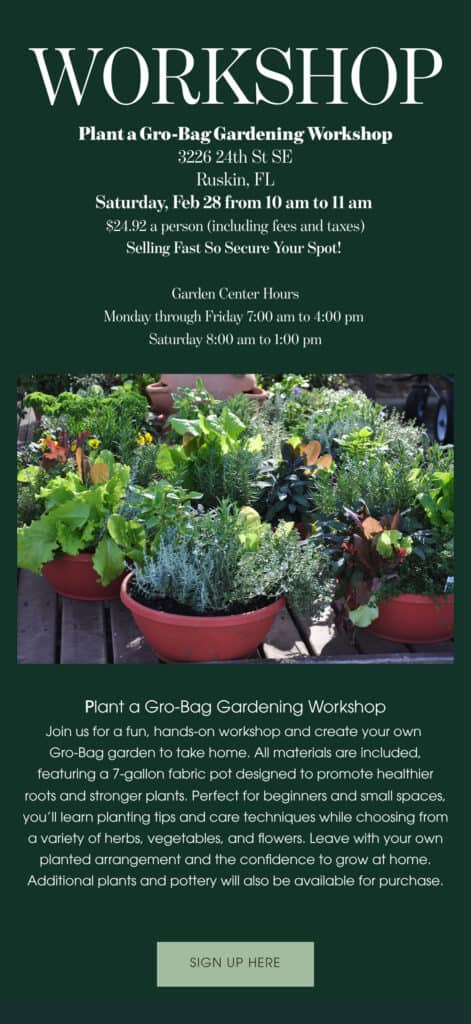 feb newsletter workshop
