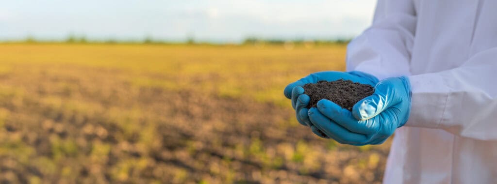 Summer Fertilizer Ban in Hillsborough County: What You Need To Know