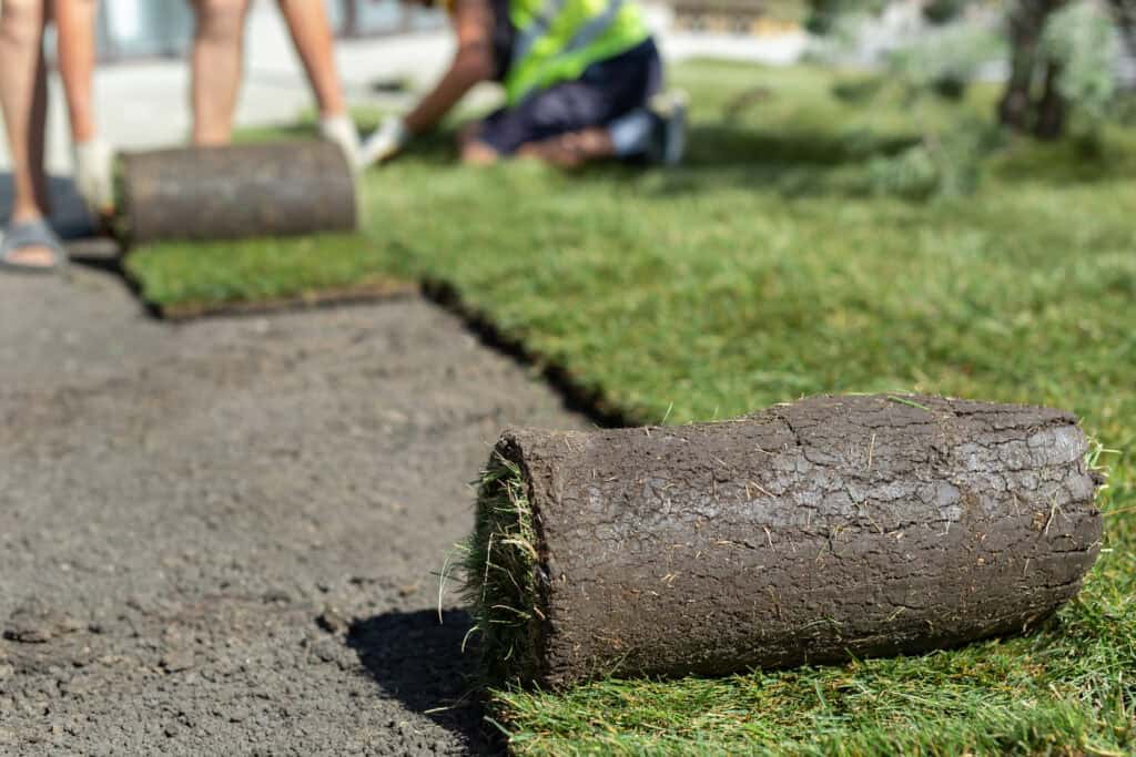 Mistakes Homeowners Make When Laying Sod