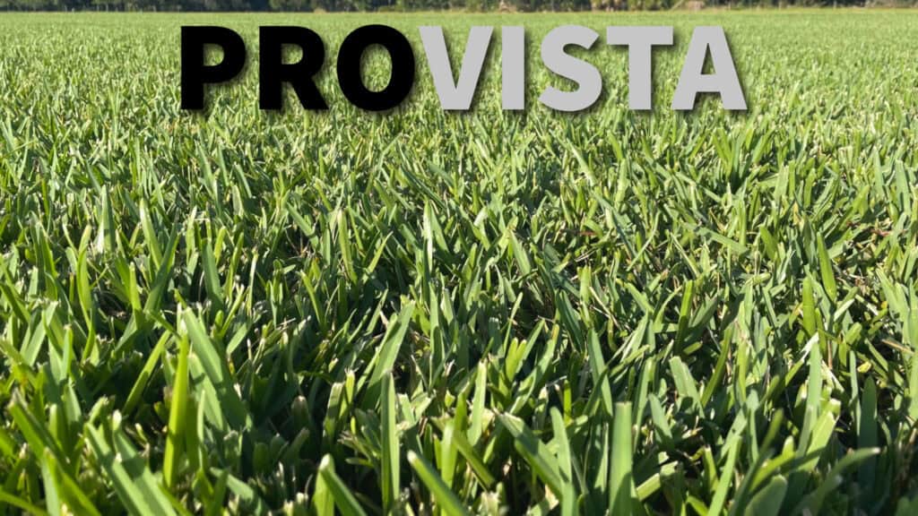 provista