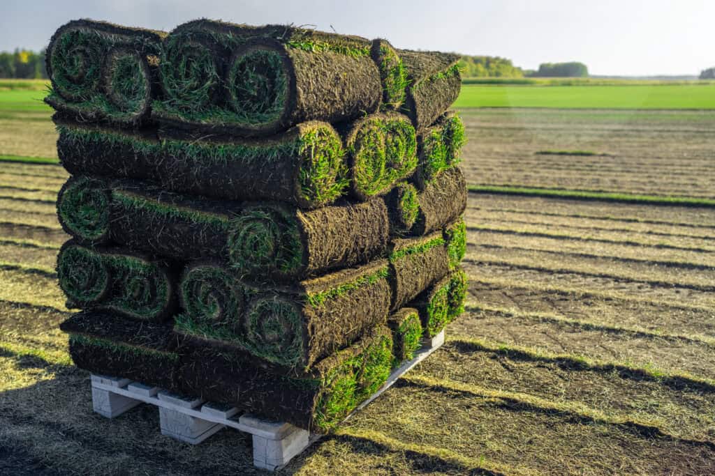 How Much Sod Do I Need? Getting Your Order Right the First Time